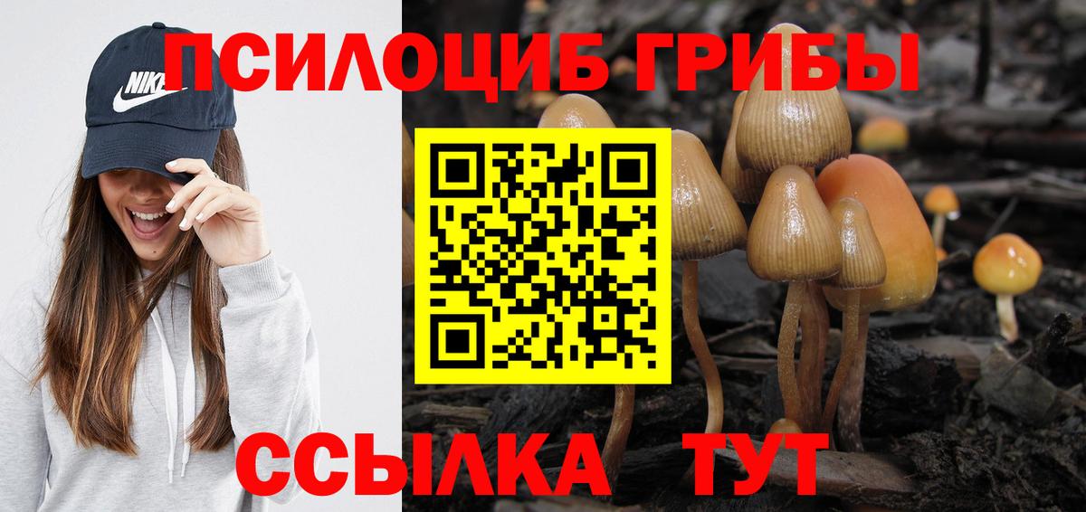 Галлюциногенные грибы Magic Shrooms  Вход с VPN  Орск 
